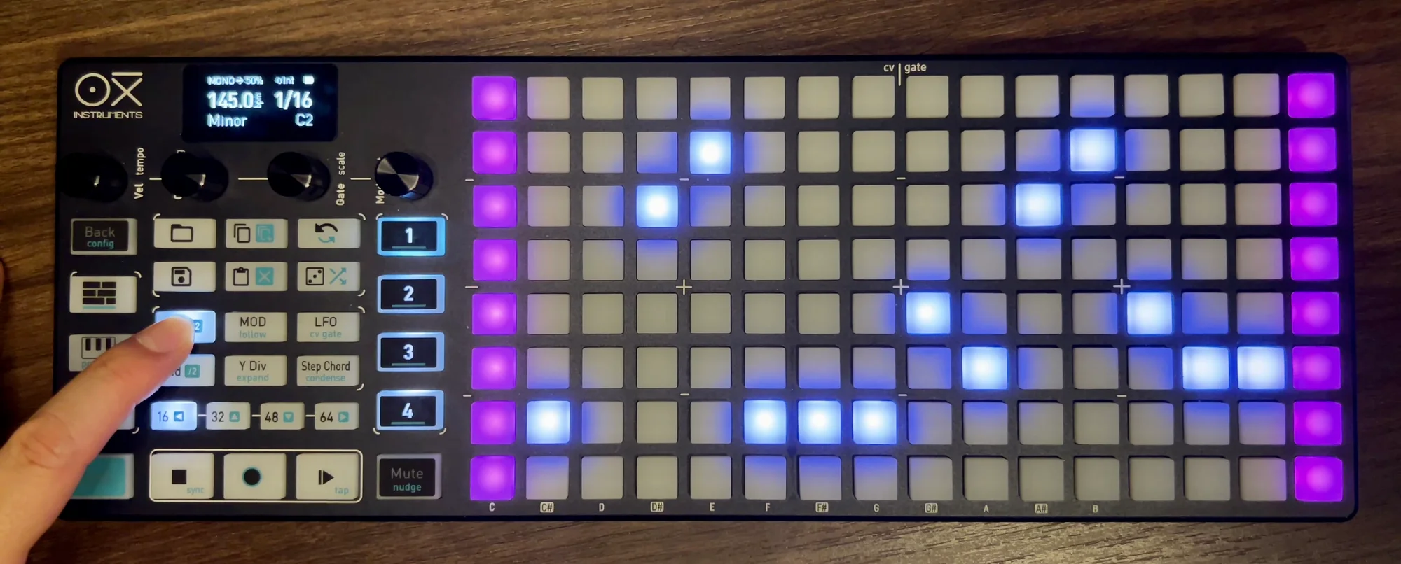 Steps 1 and 16 shown in purple