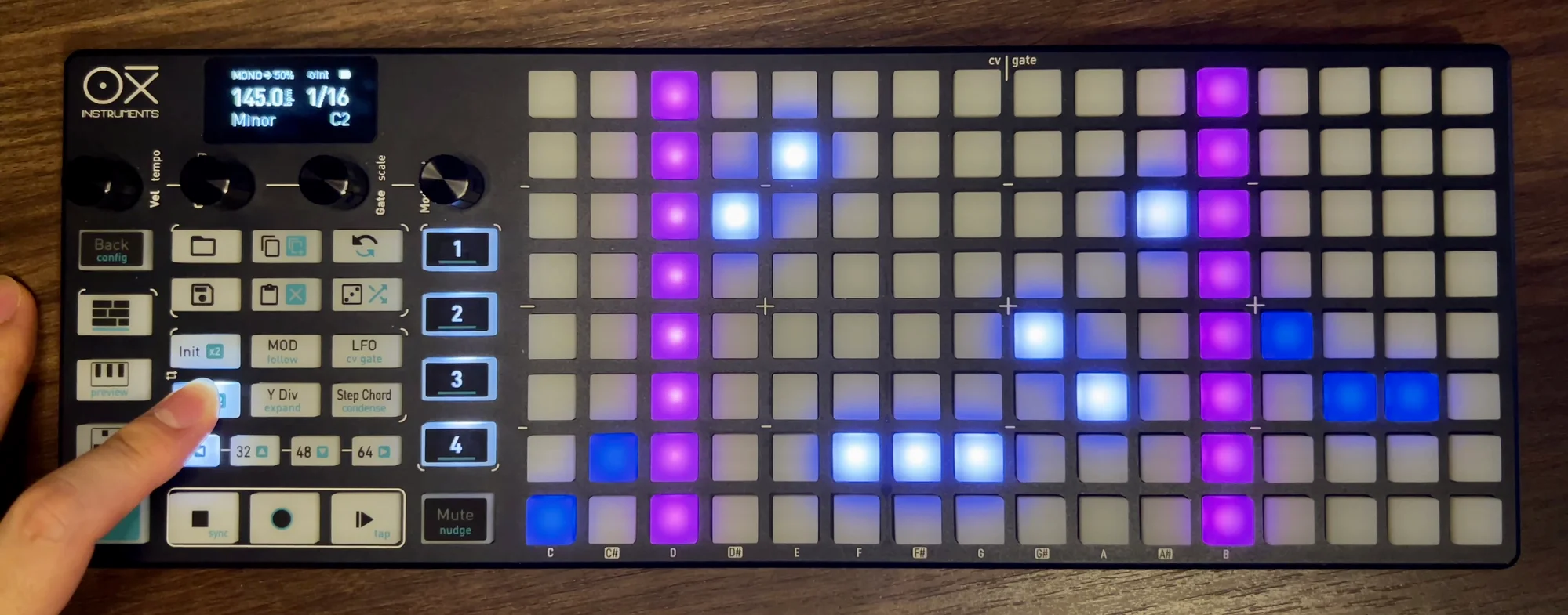 Steps 3 and 12 shown in purple