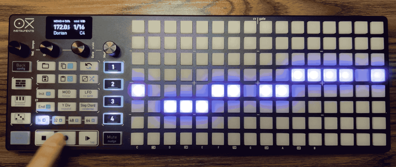 タイムラインが動いている動画