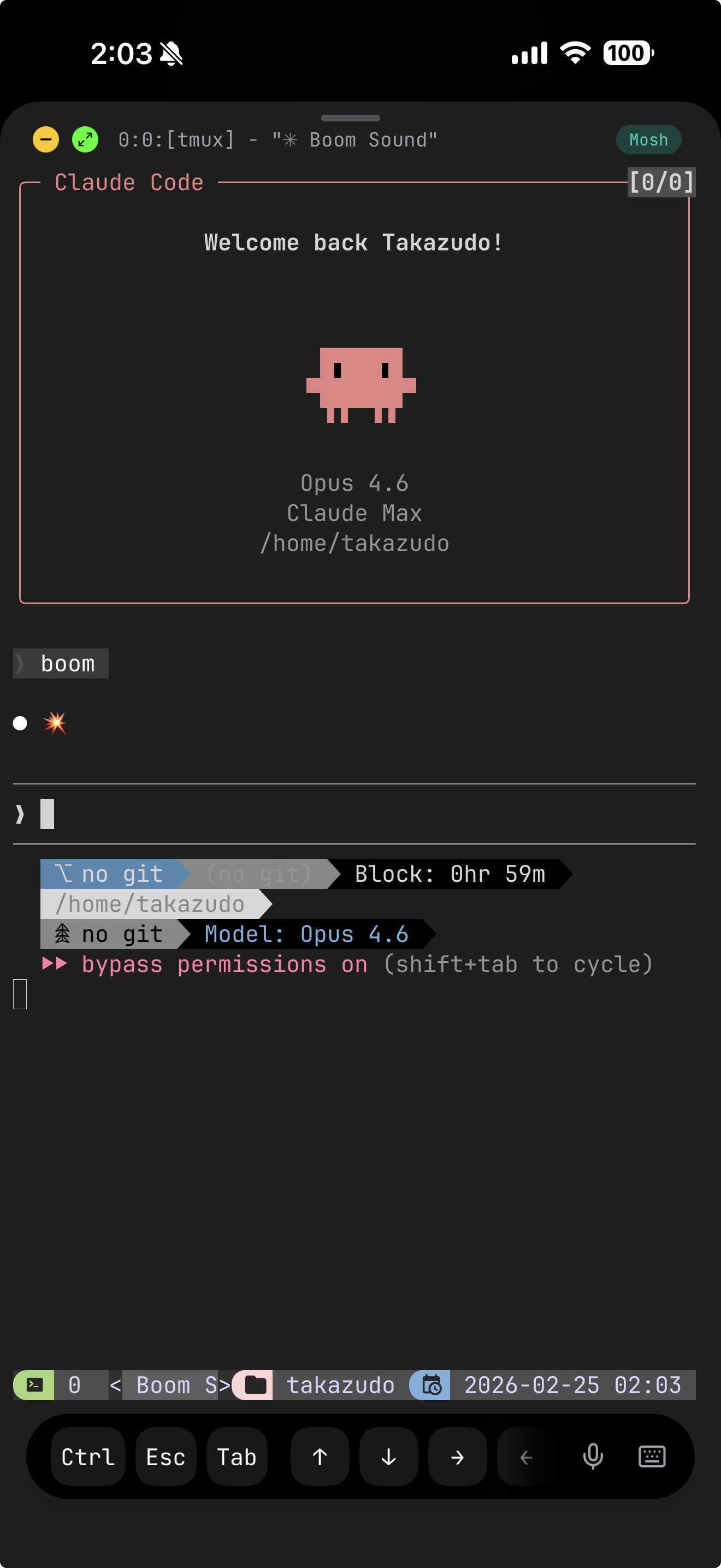 iPhoneのMoshiアプリからWSL2上のClaude Codeに接続した様子
